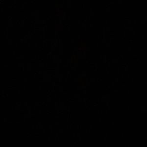 Meet your Posher, Eliana